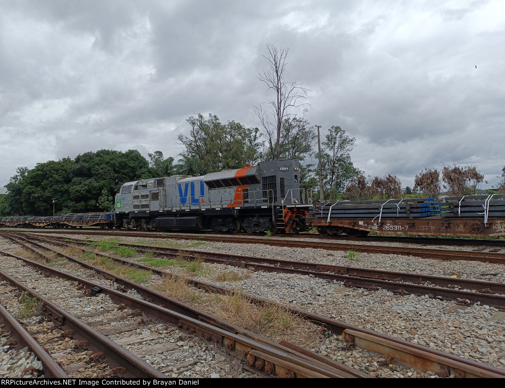 VLI 8429